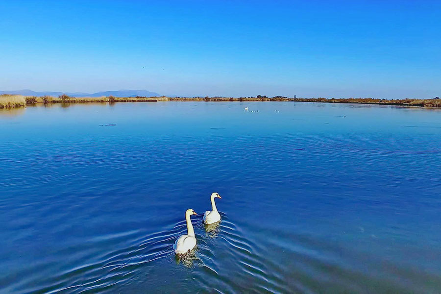 Moustos Wetland Arcadia