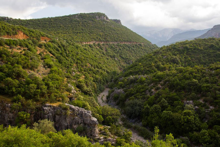 Το Φαράγγι Ζαρμπάνιτσας Αρκαδία